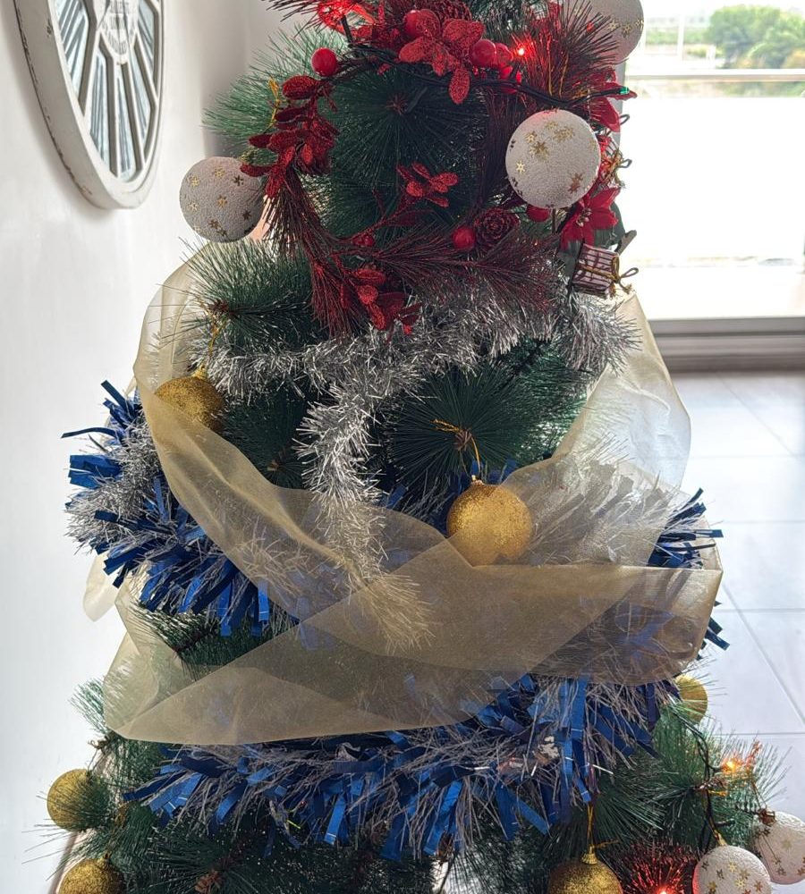 WhatsApp Image 2025-12-17 at 12.53.37